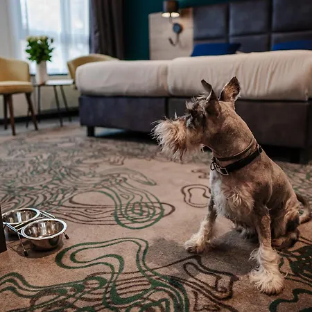 Kyriad Stargard Hotel Stargard Szczeciński