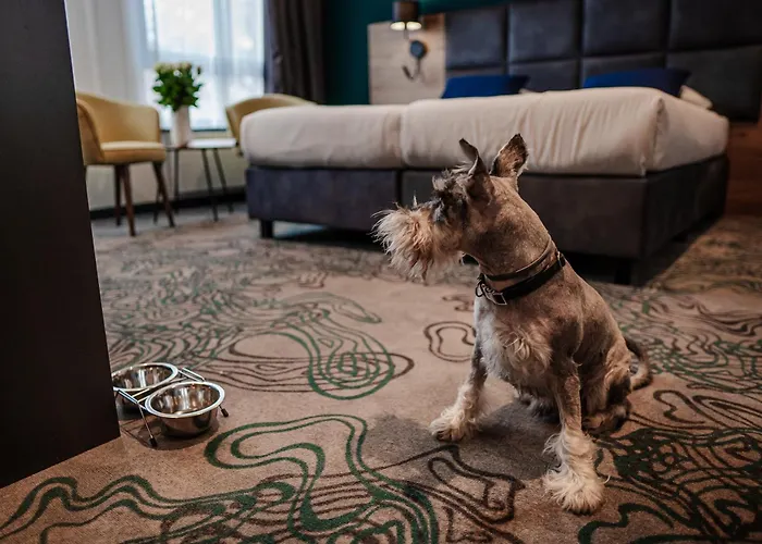 Kyriad Stargard Hotel Stargard Szczeciński